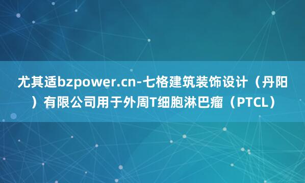 尤其适bzpower.cn-七格建筑装饰设计(丹阳)有限公司用于外周T细胞淋巴瘤(PTCL)