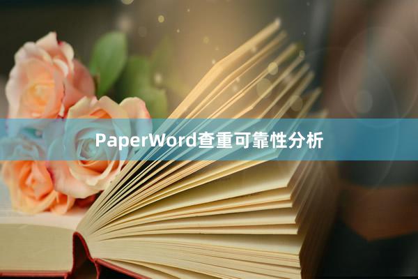 PaperWord查重可靠性分析